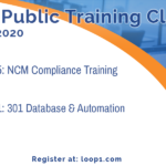 Loop1's Public Training classes