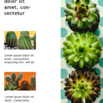 Mock flyer or social media post design